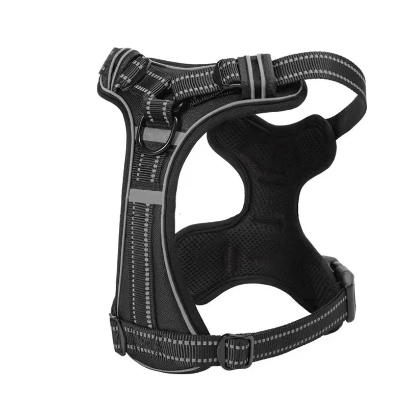 Adjustable No-Pull Dog Harness & Leash Set